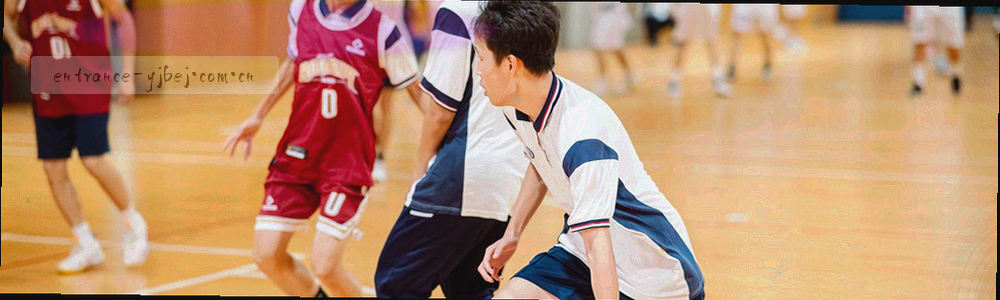 抽象法律与文档图形